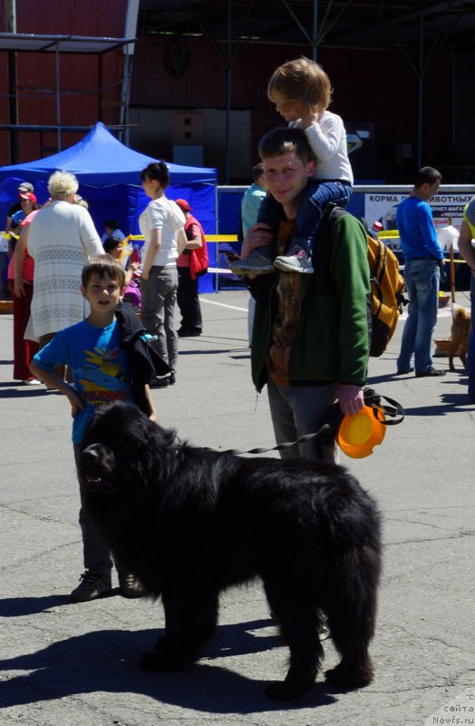 Фотография № 157518