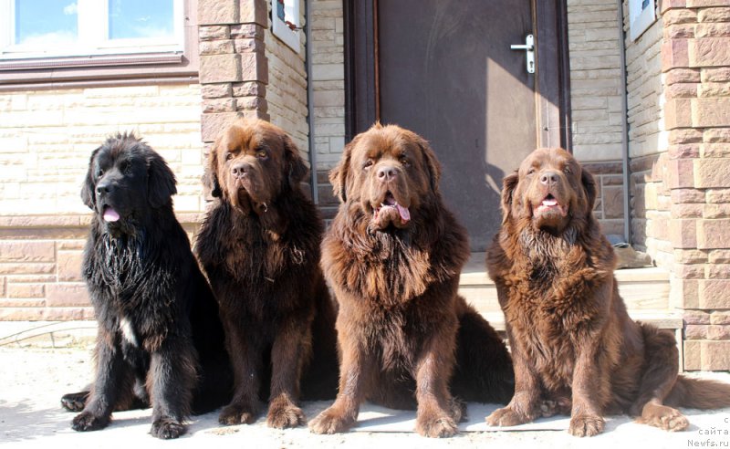 Фотография № 157534