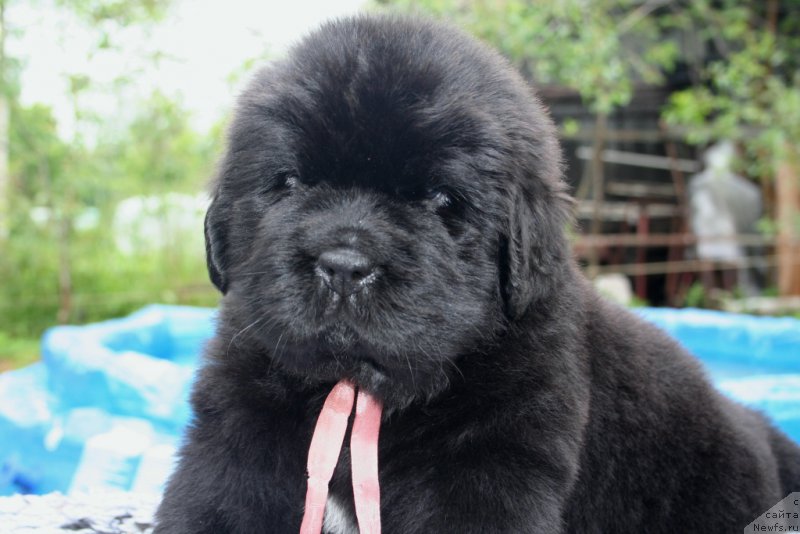 Фотография № 157551