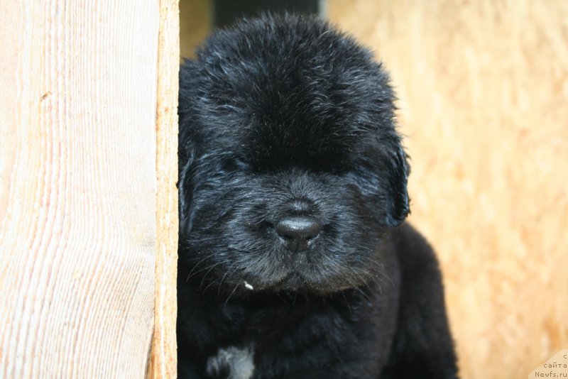 Фотография № 157562