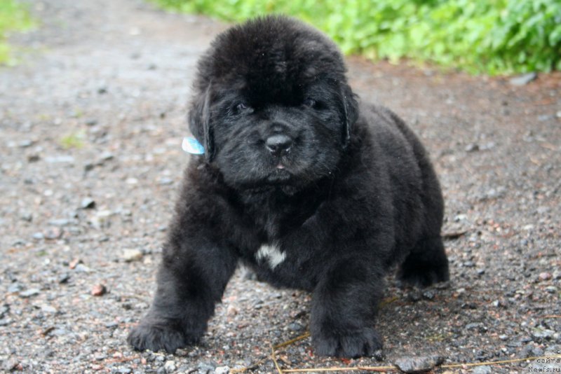 Фотография № 157563