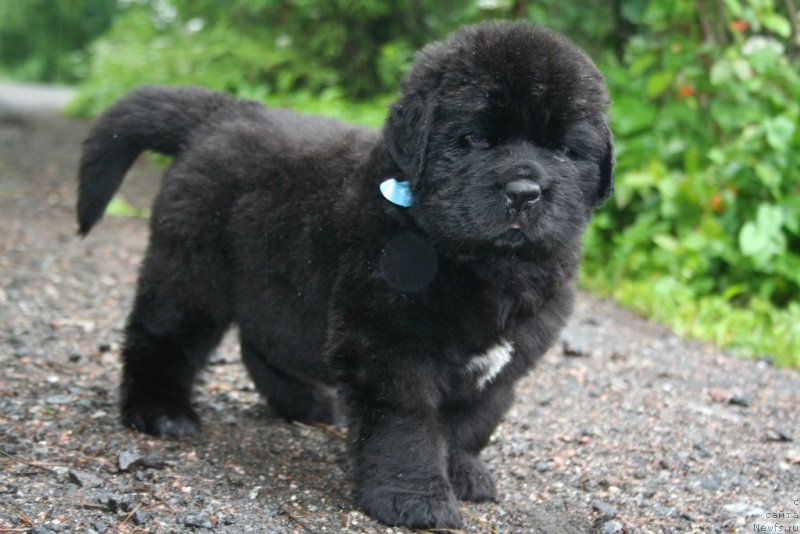 Фотография № 157564