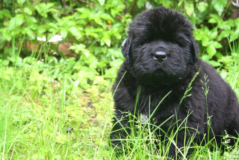 Фотография № 157568