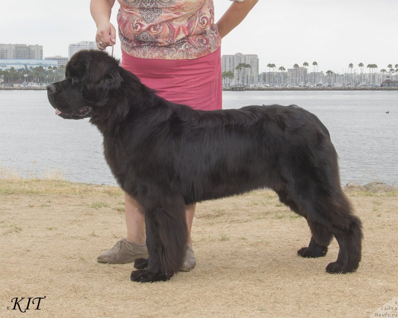 Фотография № 157569