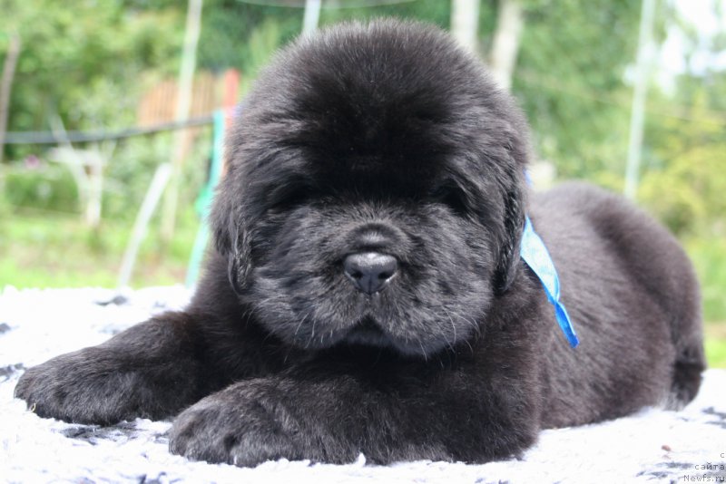 Фотография № 157591