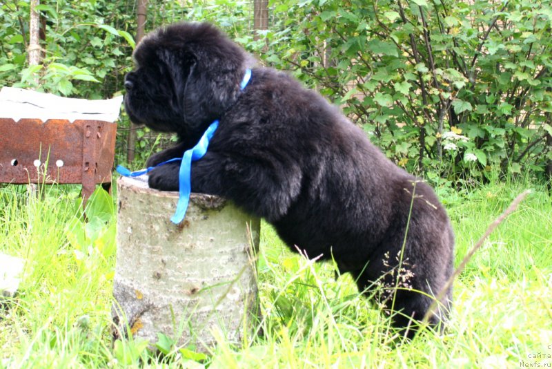 Фотография № 157593