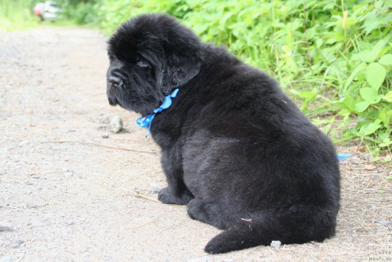 Фотография № 157599