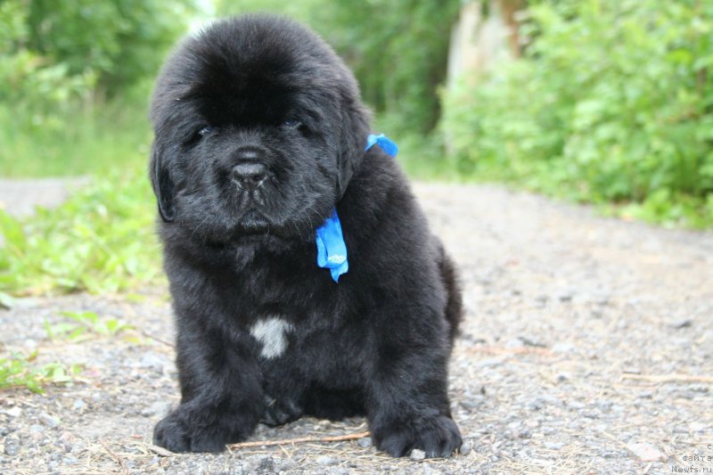 Фотография № 157600