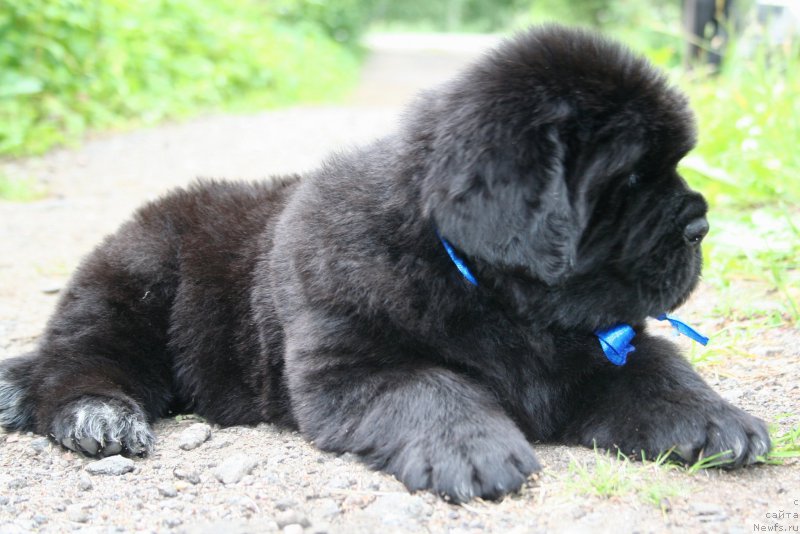 Фотография № 157601