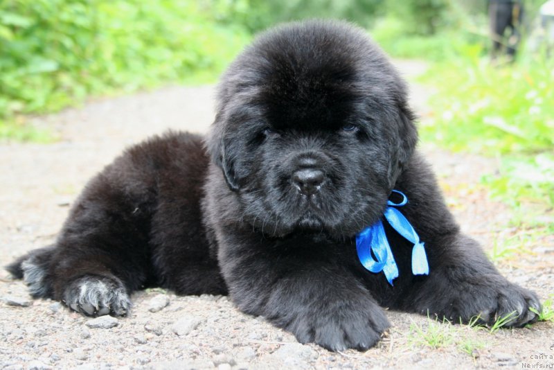 Фотография № 157602