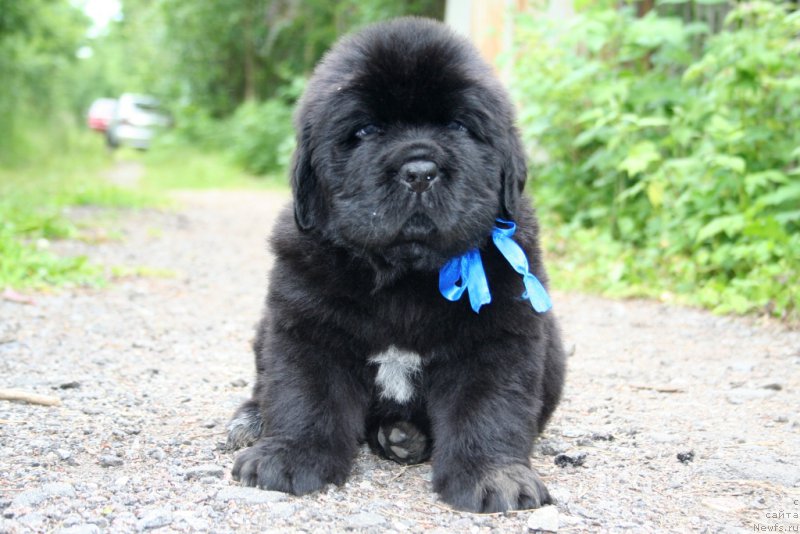 Фотография № 157603