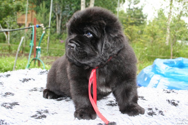 Фотография № 157608