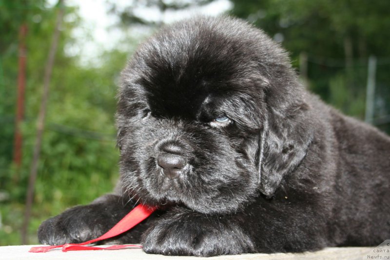 Фотография № 157610