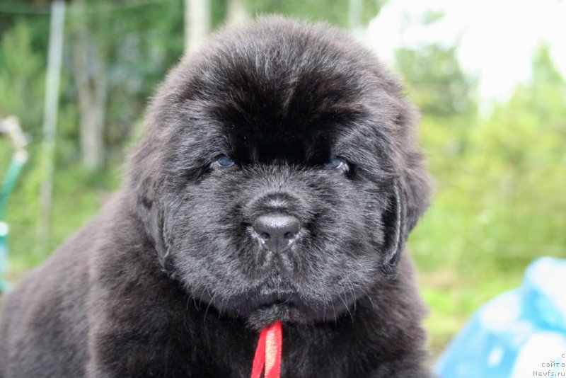 Фотография № 157611