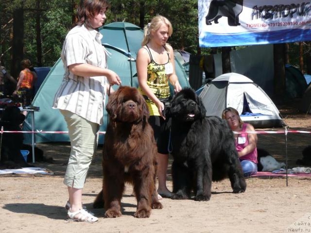 Фотография № 15762