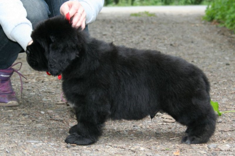 Фотография № 157632