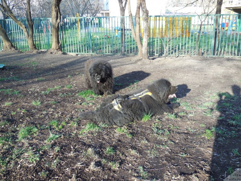 Фотография № 157677