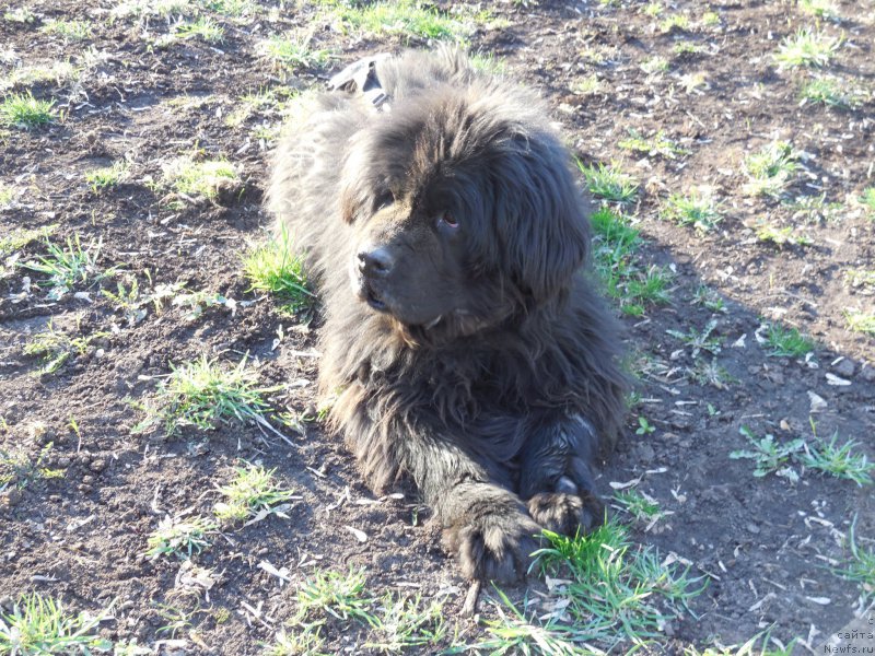 Фотография № 157678