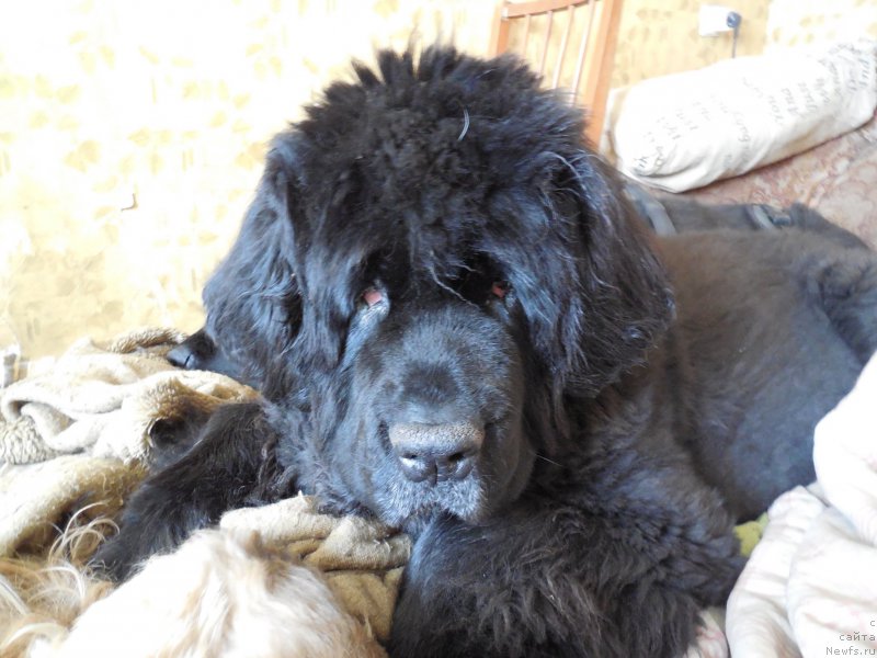 Фотография № 157683