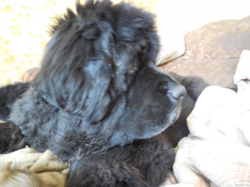 Фотография № 157684