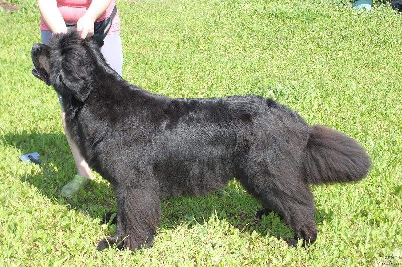 Фотография № 157690