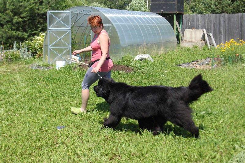 Фотография № 157693