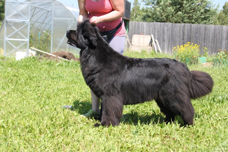 Фотография № 157695