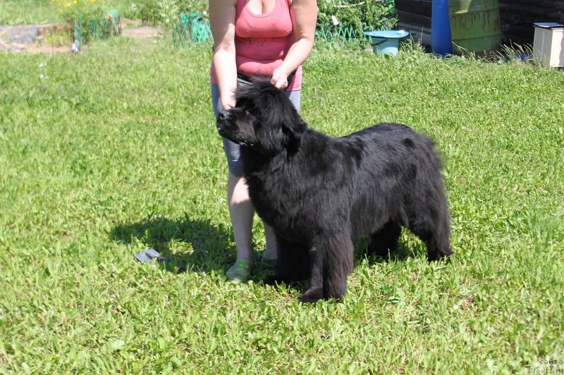 Фотография № 157697