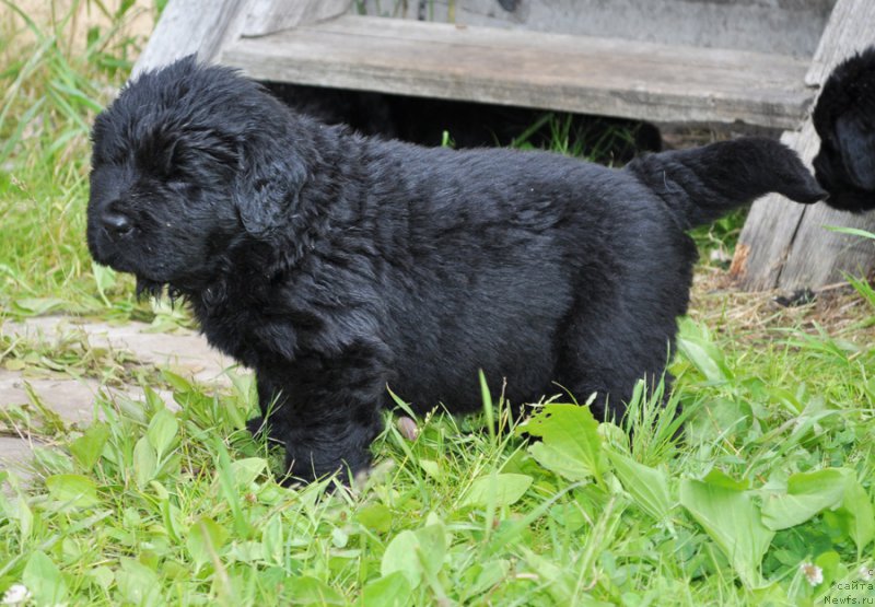 Фотография № 157730