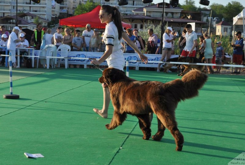 Фотография № 157733