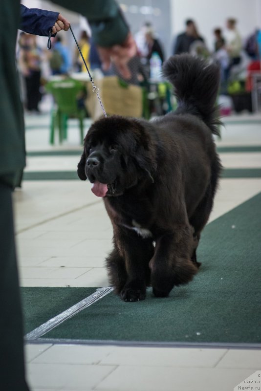 Фотография № 157737