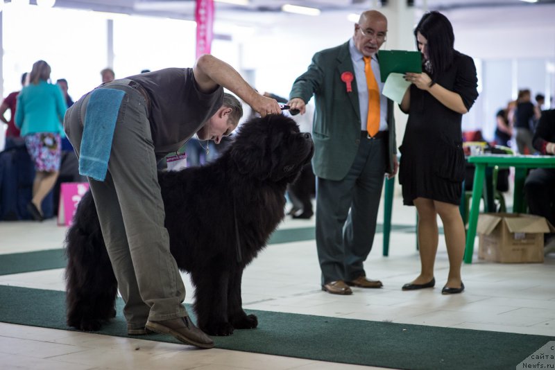 Фотография № 157738