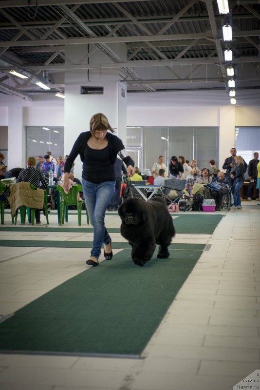 Фотография № 157743