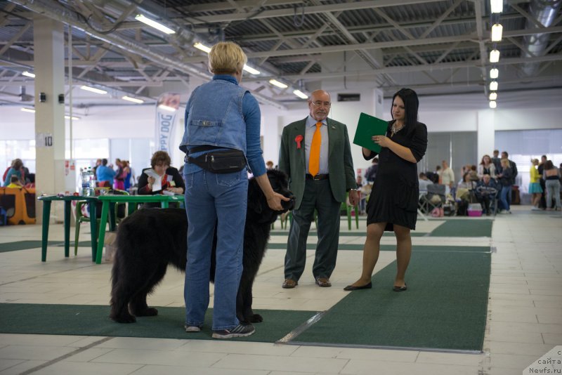 Фотография № 157745