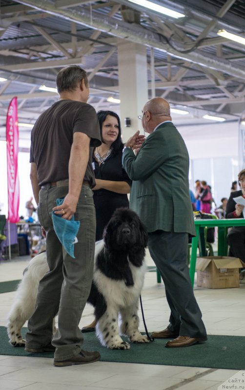 Фотография № 157748