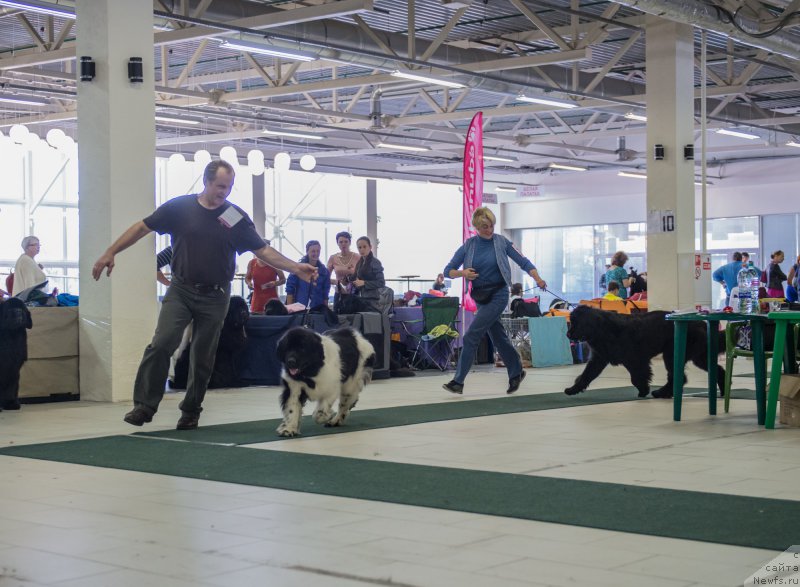 Фотография № 157749