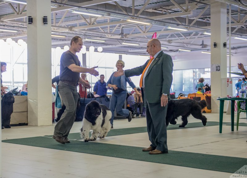 Фотография № 157750