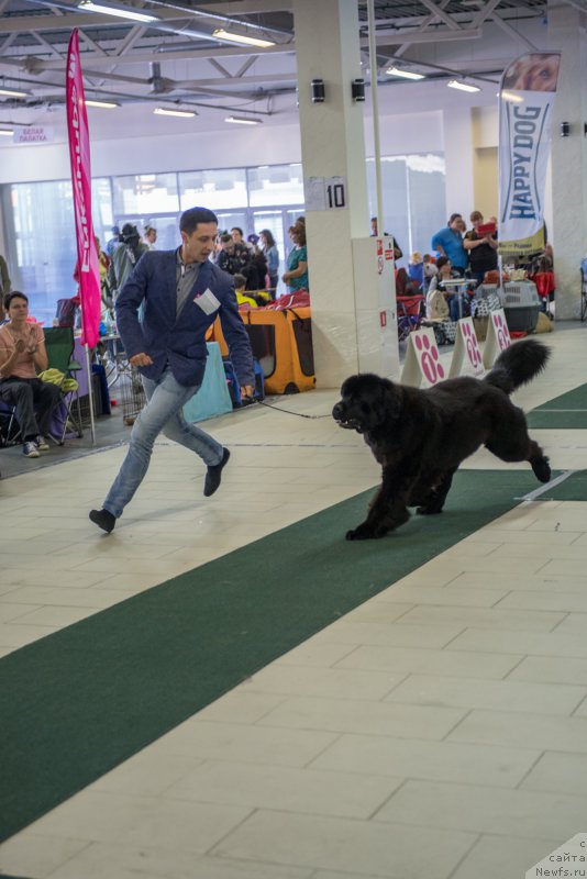 Фотография № 157751