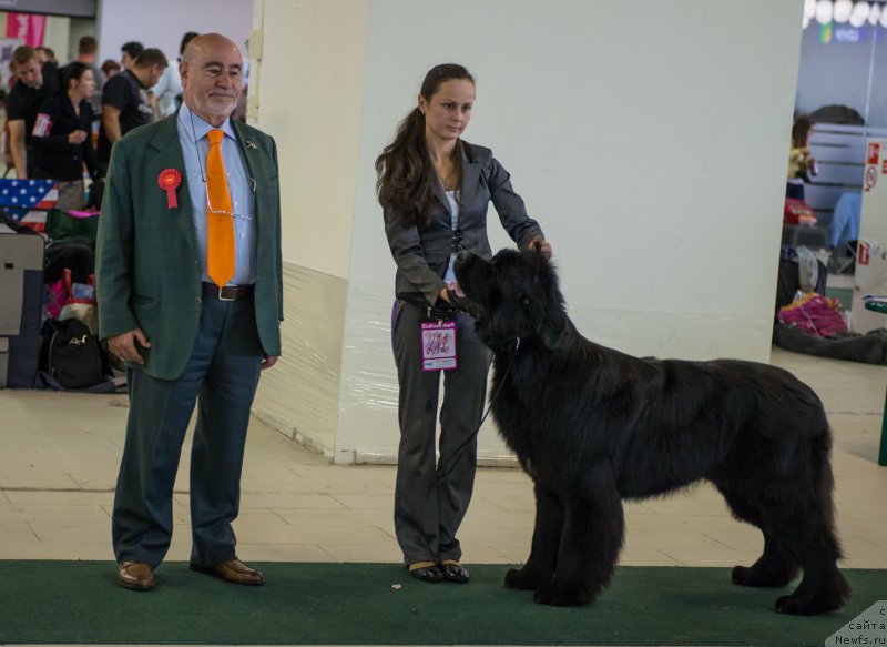 Фотография № 157753