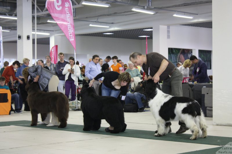 Фотография № 157755