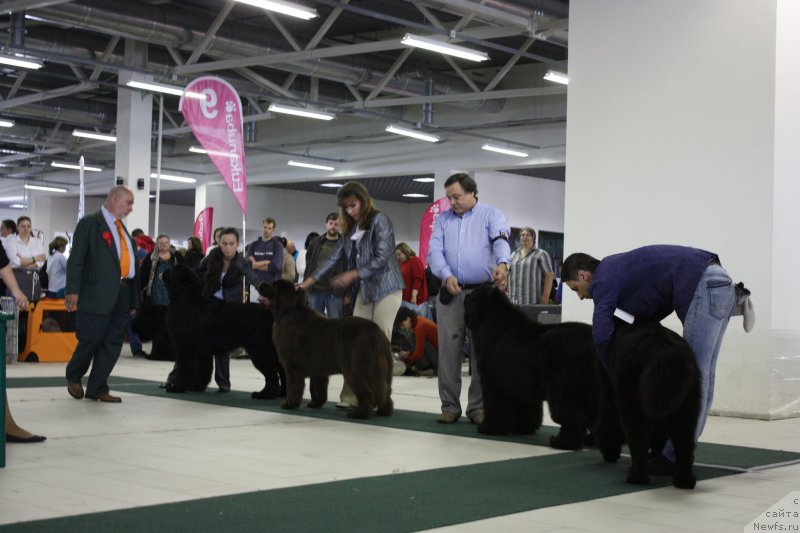 Фотография № 157756