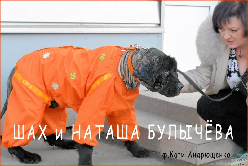 Фотография № 157763