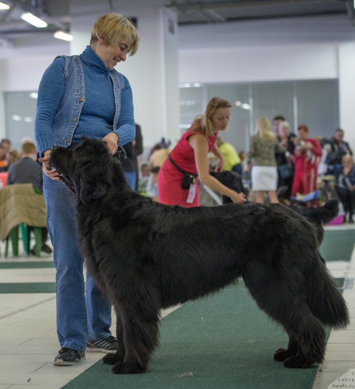 Фотография № 157786