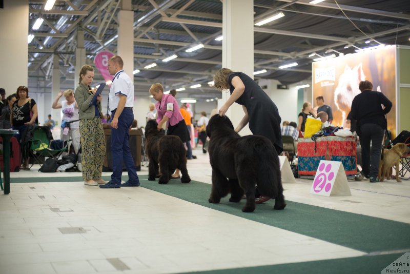 Фотография № 157791