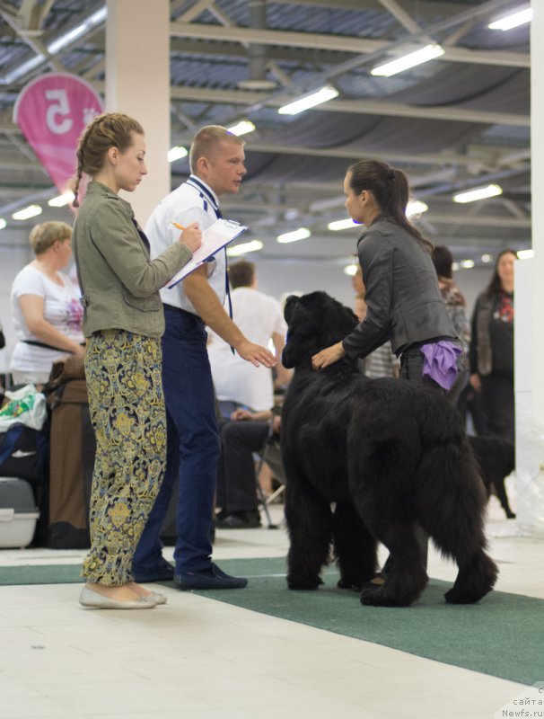 Фотография № 157792