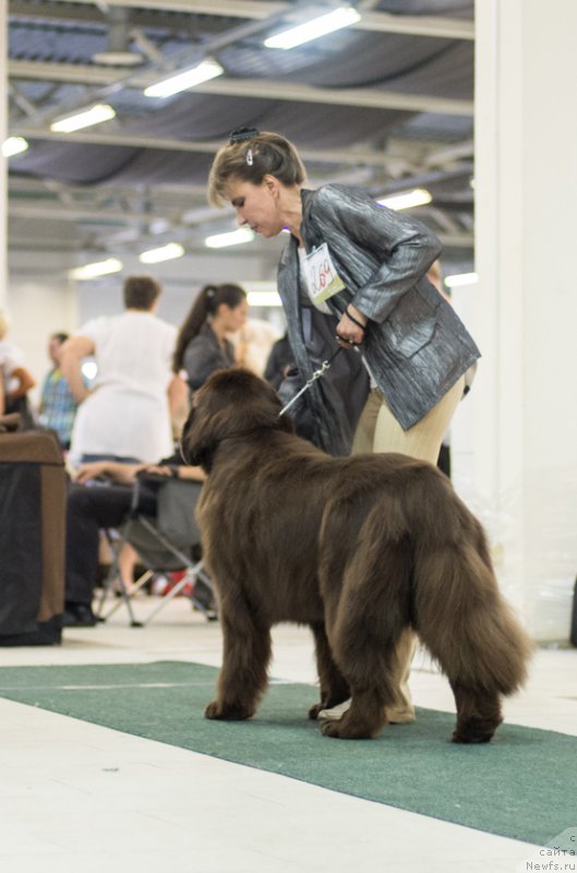 Фотография № 157793