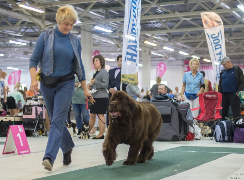 Фотография № 157797