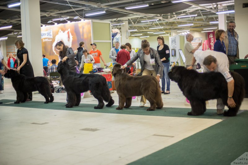 Фотография № 157799