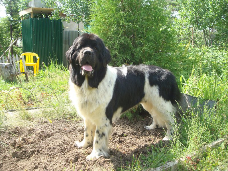 Фотография № 157837