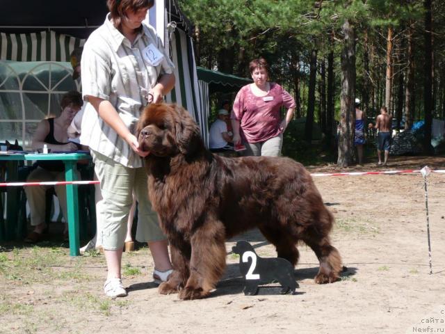 Фотография № 15786